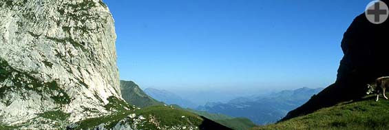 Das Schweizer Tor