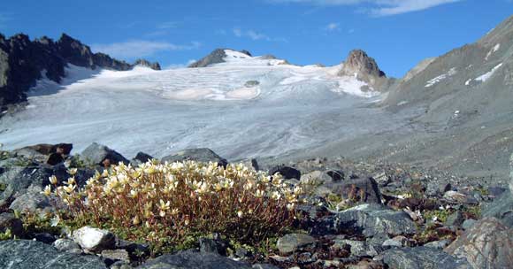 Vadret da Sarsura und Fuorcla Sarsura